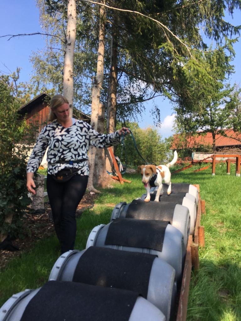 Ich mit meinem Hund beim Training