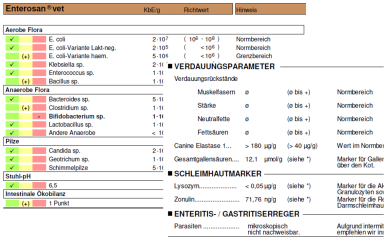Auszug einer Kotanalyse